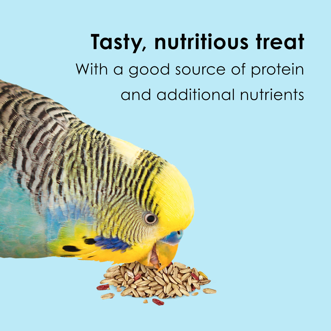 Kaytee Oat Groats Treat Jar for Pet Birds, 11 Ounces
