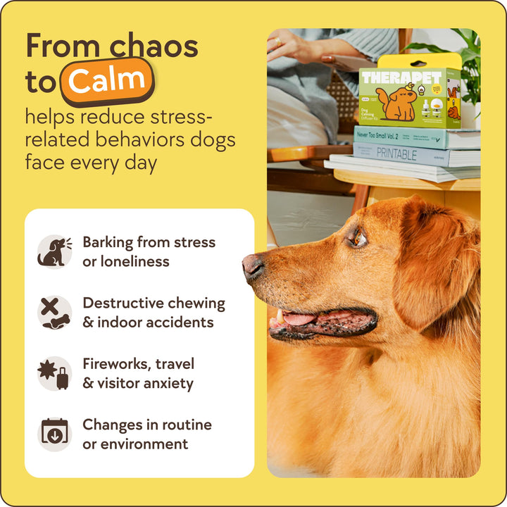 TheraPetMD 60-Day Dog Calming Diffuser Kit - Dog Pheromone Diffuser for Stress, Destructive Behavior, Pee Accidents, Separation Anxiety, Barking, Aggression &amp; Chewing - 60-Day Refills Included