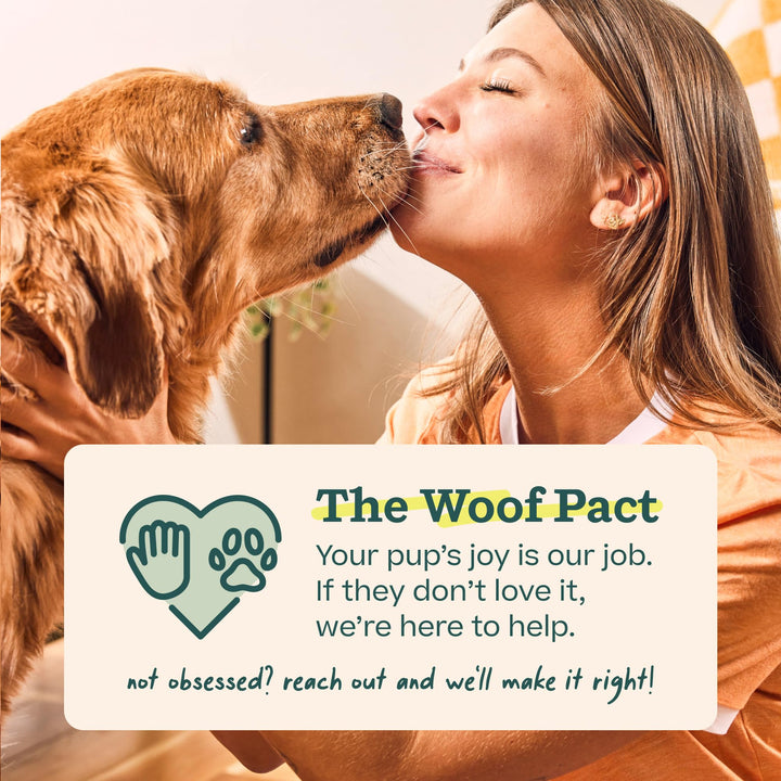 WOOF Starter Pack Dog Treat Toy for Large Dogs 25-75 lbs