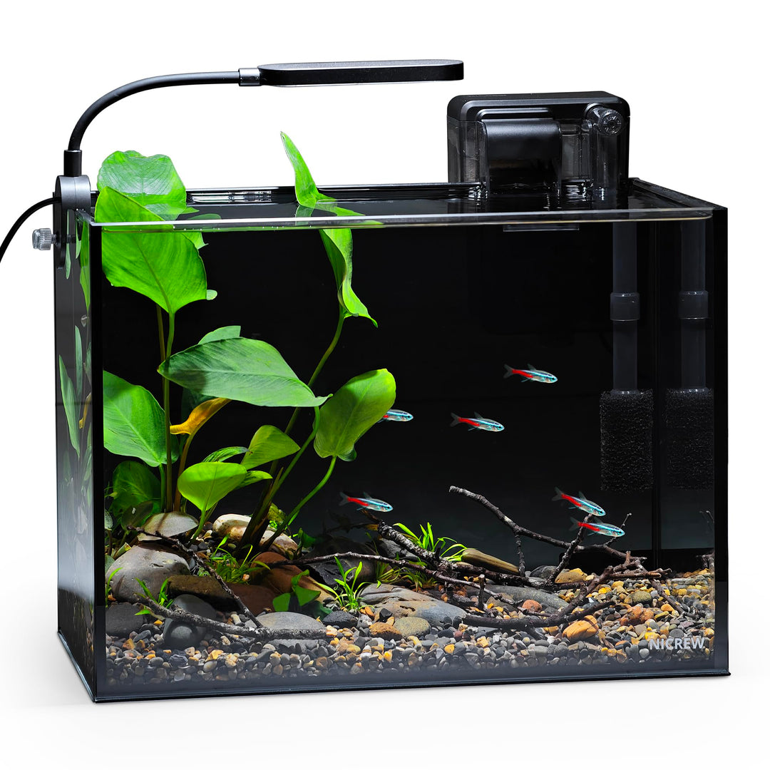 NICREW 2.5 Gallon Nano Nature Aquarium Kit Betta Fish Tank, Complete, Black