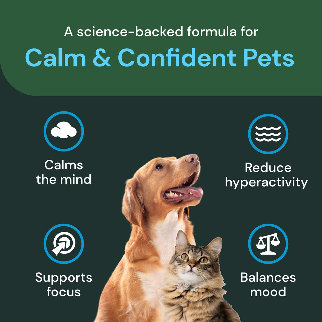 VetriScience Composure Pro + Composure Pro Advanced Bundle - Calming Support Supplement for Cats &amp; Dogs
