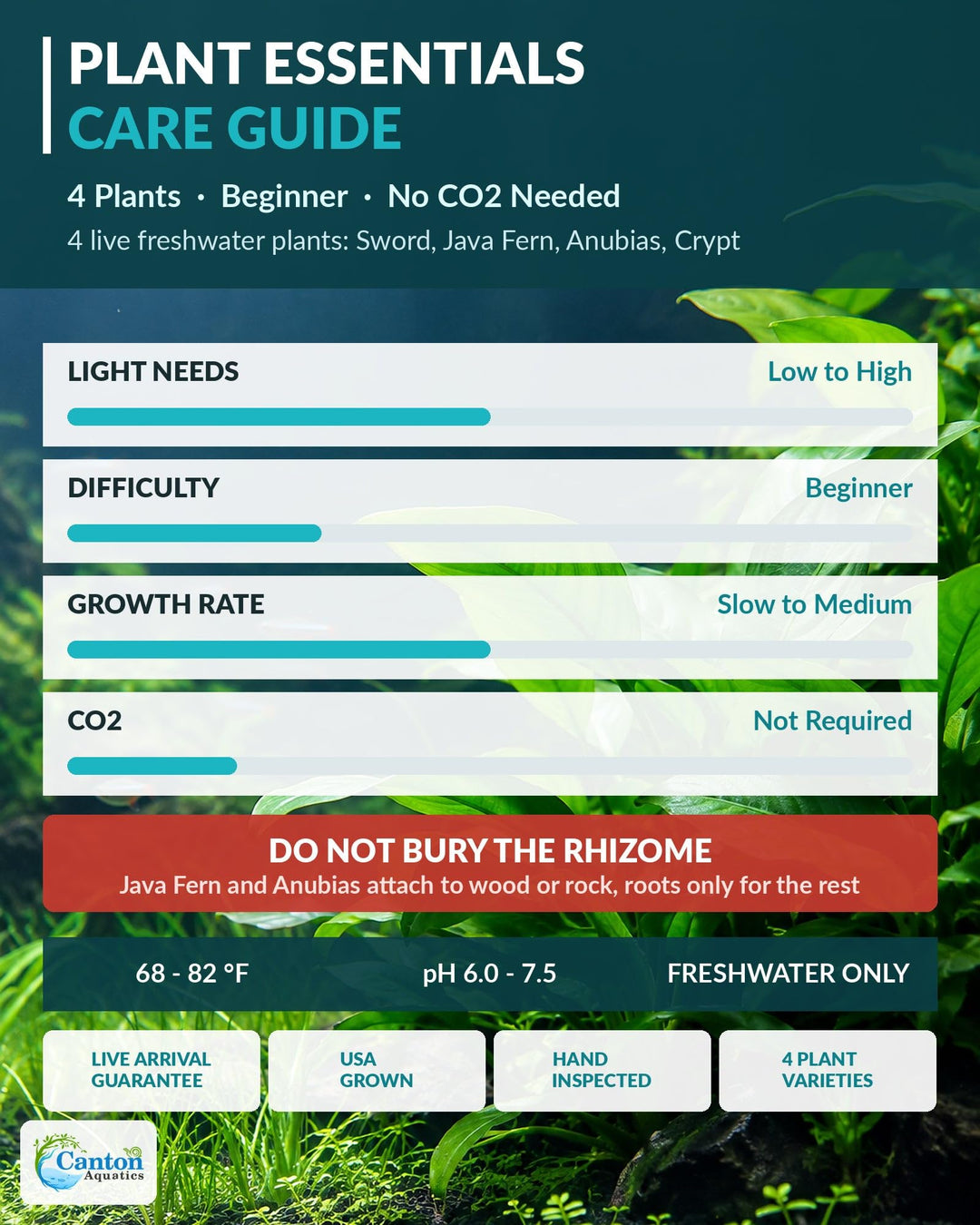 Live Aquarium Plants Bundle 4 Pack - Amazon Sword, Cryptocoryne &amp; 2 Java Fern - Easy Beginner Freshwater Plants for Betta &amp; Shrimp Tanks, No CO2 Needed