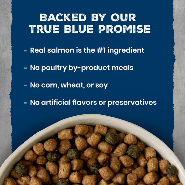 Blue Buffalo Wilderness Salmon Adult Dry Cat Food, Grain-Free, 11 lb