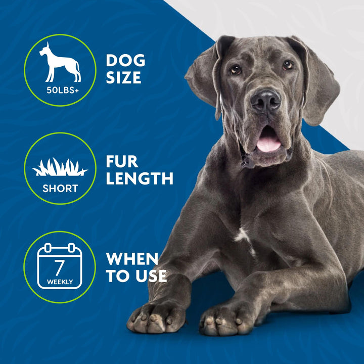 FURminator Large Dog Undercoat deShedding Tool for Short Hair