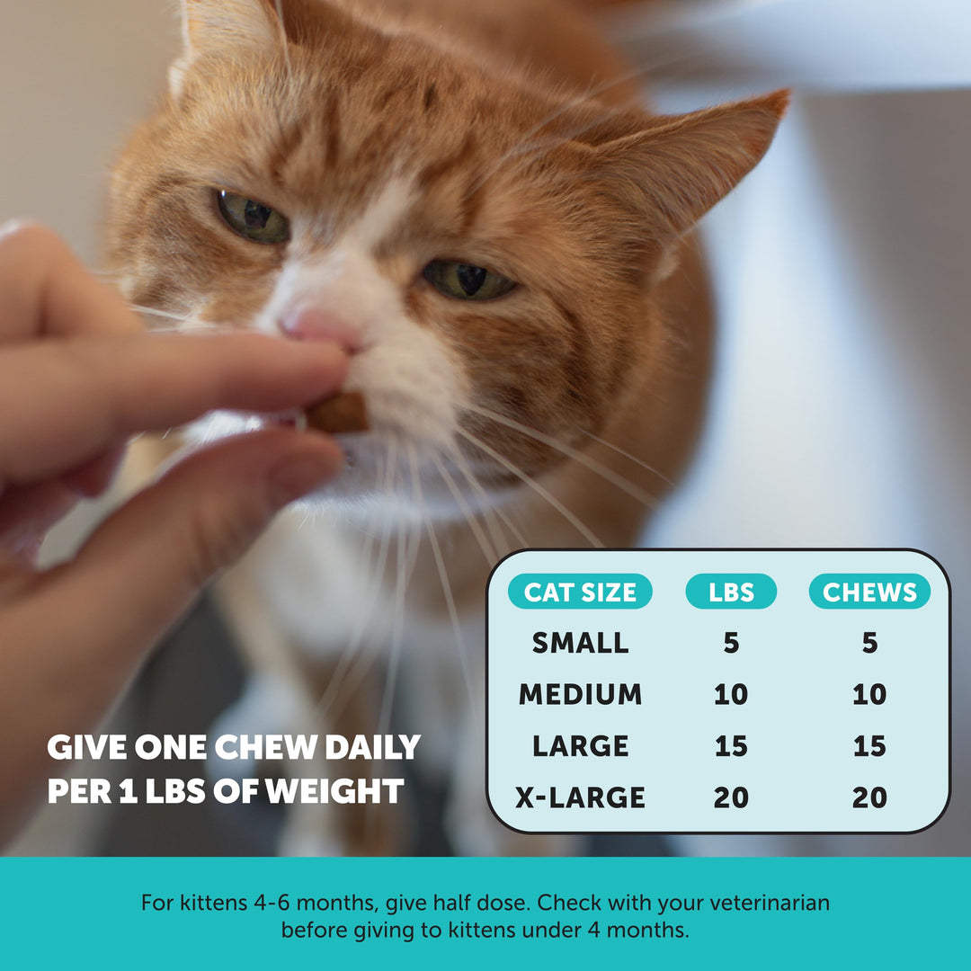 Pet Honesty Cat Calming Treats Alternative, Vet Backed Chews, Chicken 300ct