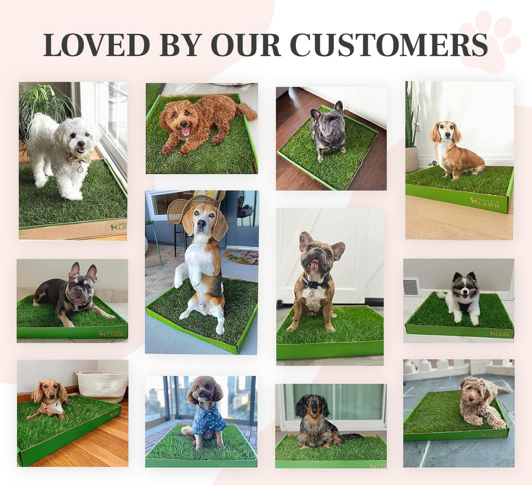 DoggieLawn Real Grass Dog Pee Pads - Medium Dog Potty Pad 24x20