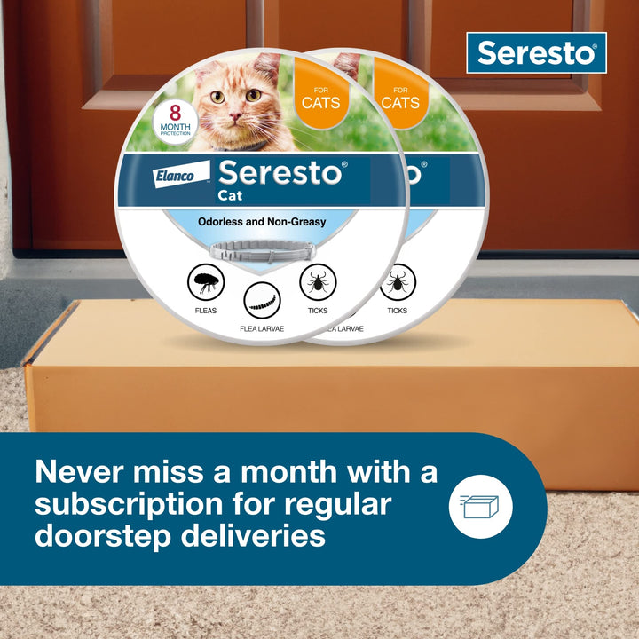 Seresto 8-Month Flea &amp; Tick Collar for Cats &amp; Kittens, 2ct