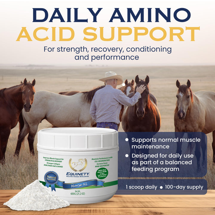 100-Day Supply Equinety Horse XL Powder Horse Supplement with Amino Acids
