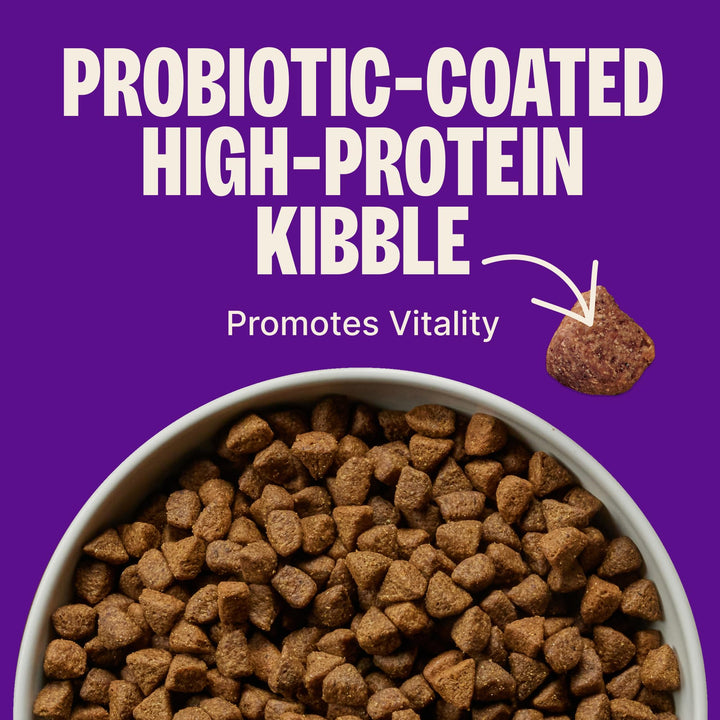 Wellness CORE Adult Dry Dog Food, Grain Free Kibble, Natural, High Protein, Turkey and Chicken Recipe, 26 lb Bag