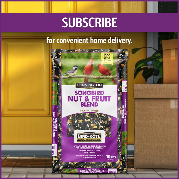 Pennington Songbird Nut &amp; Fruit Blend Wild Bird Seed for Outside Feeders