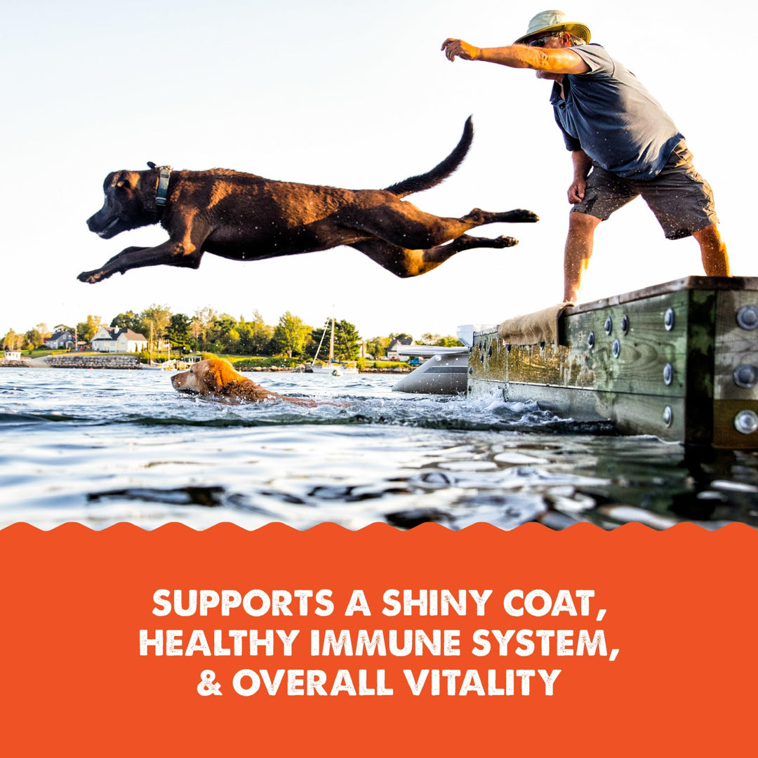 Grizzly Salmon Plus Oil Supplement for Dogs &amp; Cats, Omega 3-6-9, 32 oz