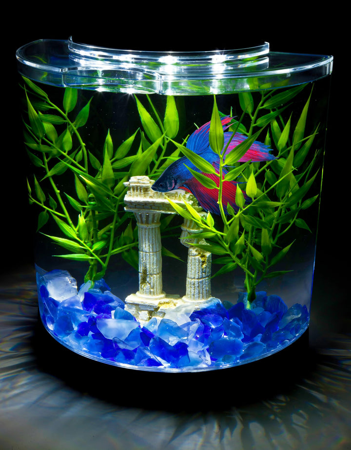 Tetra LED Half Moon 1.1 Gallon Fish Tank Kit for Betta Fish