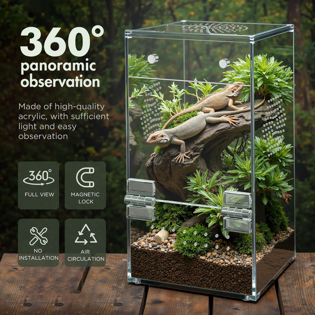 CourtyardAid Pre-Assembled Jumping Spider Enclosure, All-Side Ventilation