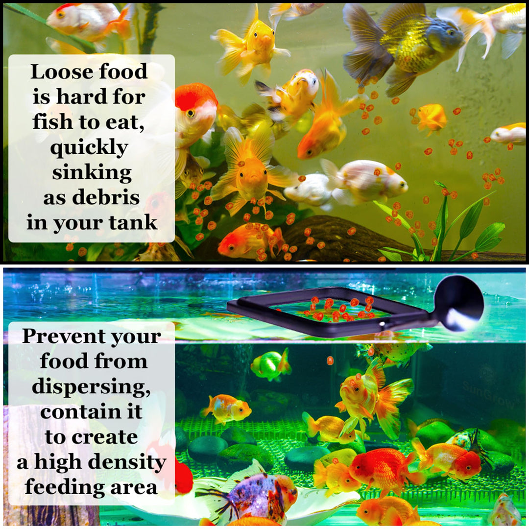 SunGrow Fish Food Feeding Ring, Stop Water Turbulence from Washing Food &amp; Floating Plants into Filter, Suitable for Flakes &amp; Floating Fish Pellets, for Goldfish, Guppy, Neon Tetra, Betta, 1 Piece