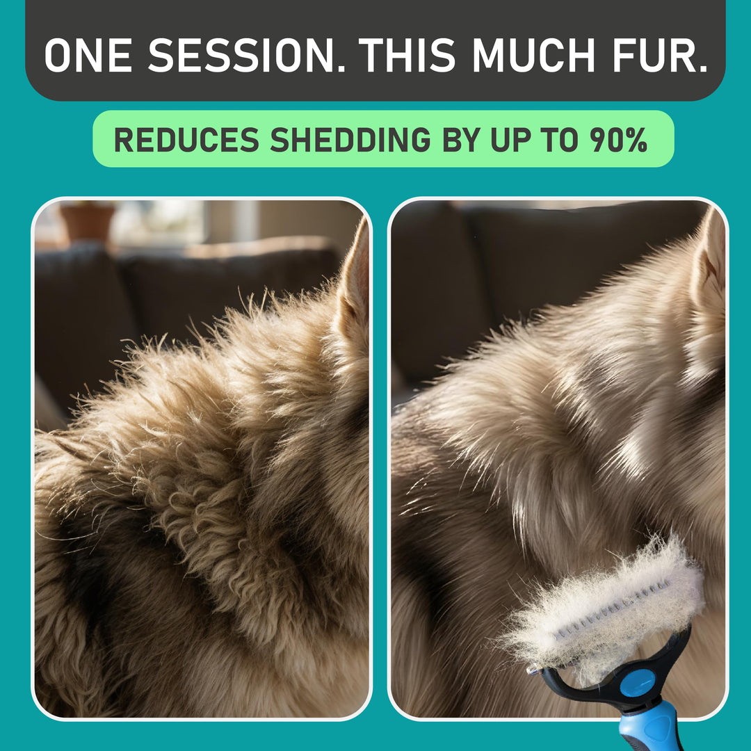 Maxpower Planet Dog Grooming Rake, Deshedding Undercoat Brush, Dogs &amp; Cats