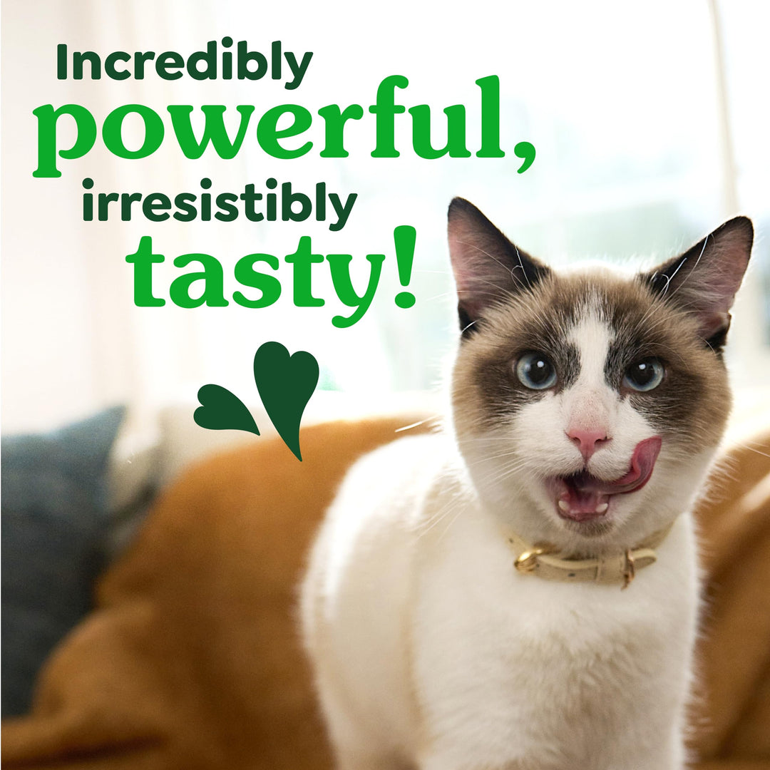 Greenies Feline Natural Dental Cat Treats, Roasted Chicken Flavor, 21 oz