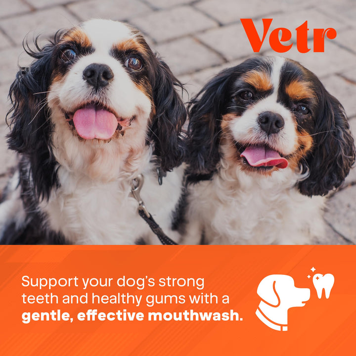 vetr Dental Formula for Dogs - Peppermint Flavored Oral Care Liquid Additive with Enzymes for Breath and Teeth Support - 16 oz (500mL) - Vet-Formulated in USA