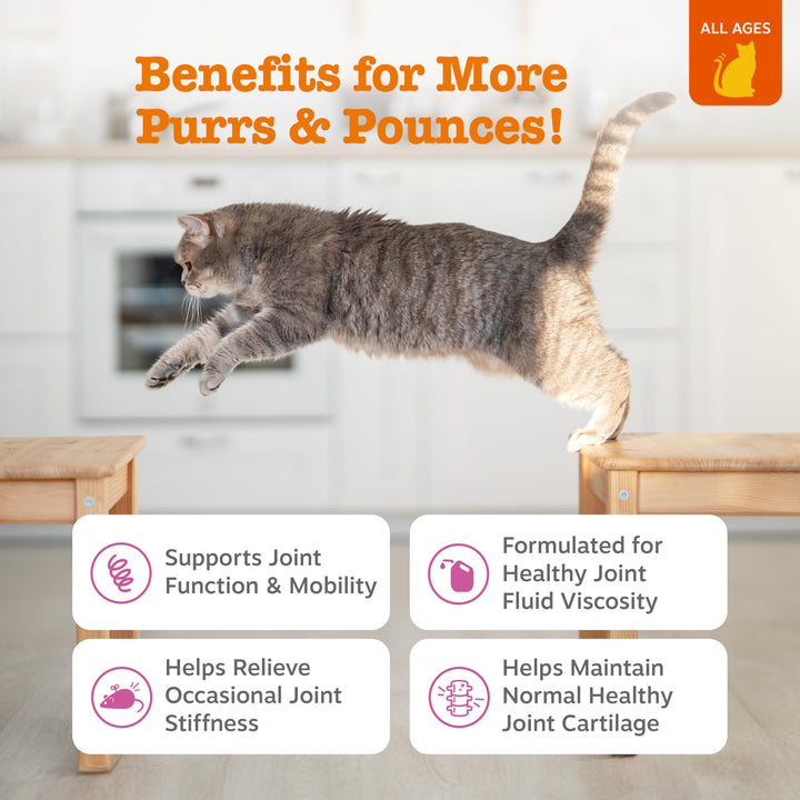 Zesty Paws Cat Joint Supplement - Glucosamine for Cats, Chicken, 60 Ct