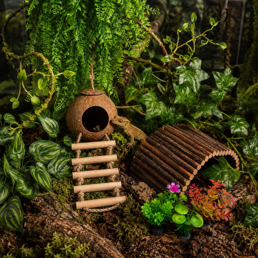 RUNANIA Crested Gecko Tank Accessories，Reptile Vines Plants with Coconut Shell Ladder Hideout Hermit Crab Decor for Leopard Gecko Lizard Chameleon Tortoise Snake Terrarium Decor