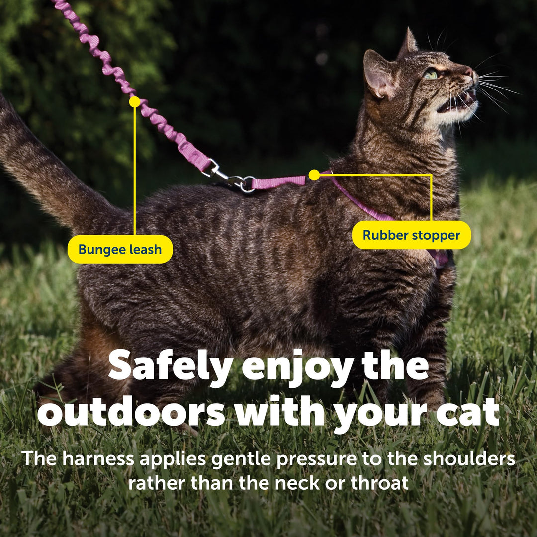 PetSafe Come with Me Kitty Harness and Bungee Cat Leash, Dusty Rose, Medium