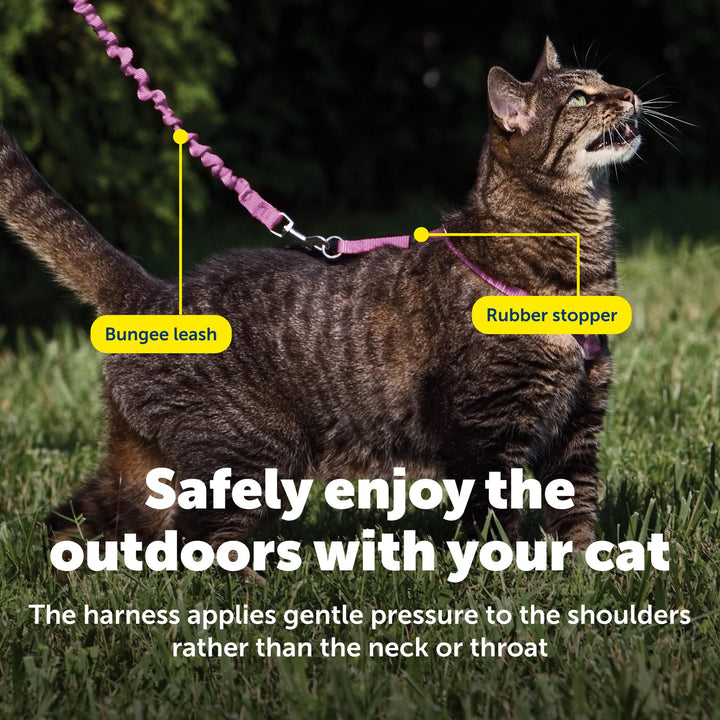 PetSafe Come with Me Kitty Harness and Bungee Cat Leash, Dusty Rose, Medium