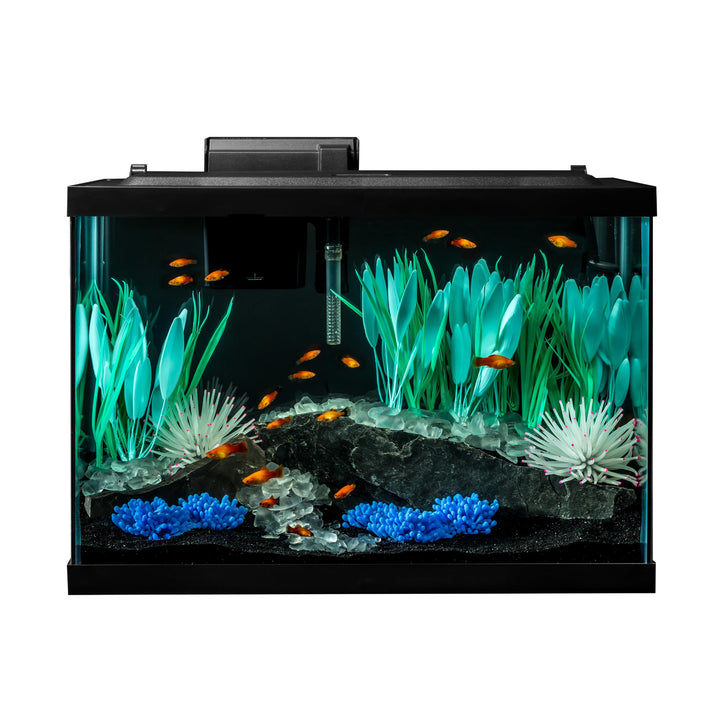 Tetra ColorFusion 20 Gallon Complete Aquarium Kit