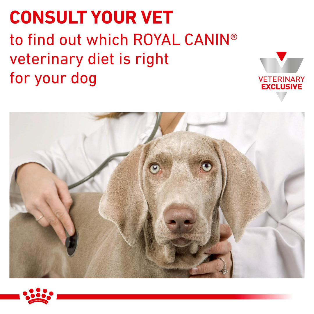 ROYAL CANIN Veterinary Diet Canine Renal Support S Adult Dry Dog Food, 6 lb Bag