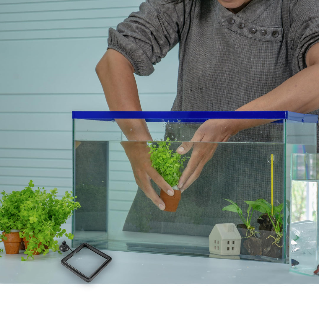 SunGrow Fish Food Feeding Ring, Stop Water Turbulence from Washing Food &amp; Floating Plants into Filter, Suitable for Flakes &amp; Floating Fish Pellets, for Goldfish, Guppy, Neon Tetra, Betta, 1 Piece