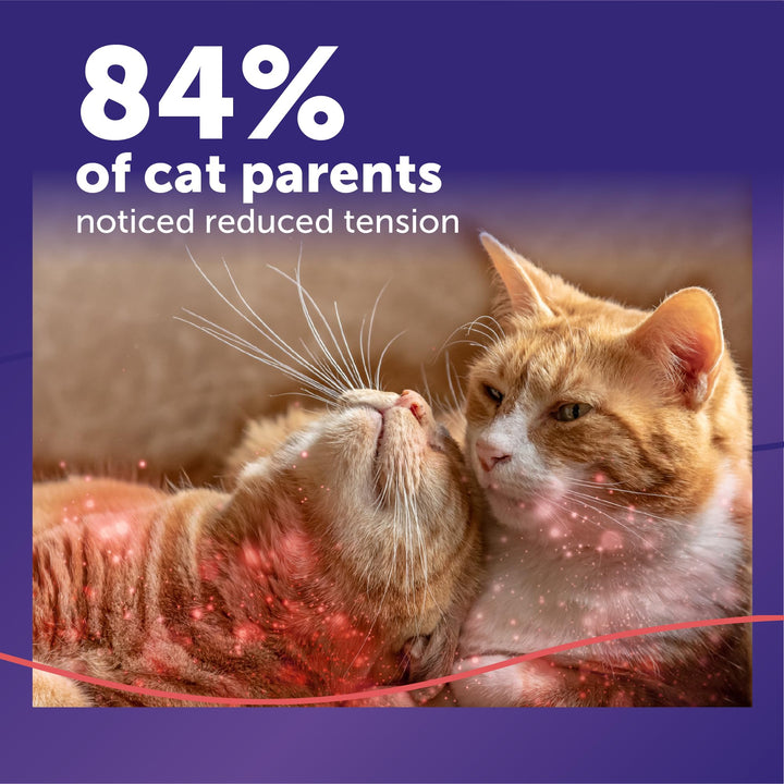 FELIWAY MultiCat Cat Calming Pheromone Diffuser Kit