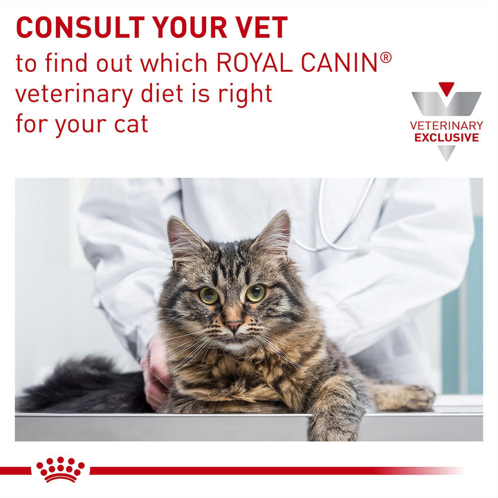 ROYAL CANIN Veterinary Diet Feline Gastrointestinal Moderate Calorie Adult Thin Slices in Gravy Cat Food, 3 oz (Pack of 24)