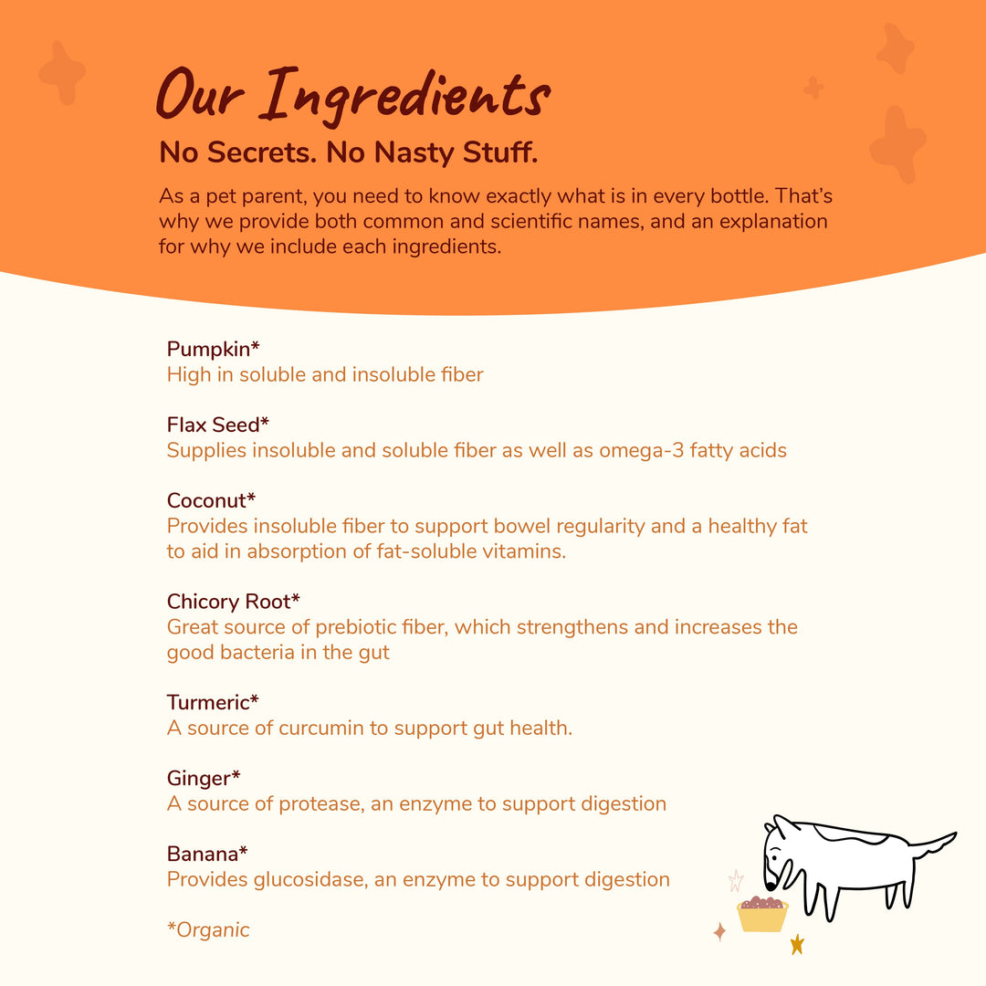 Kin+Kid Organic Digestion Supplement Healthy Poops Pumkin  4oz.