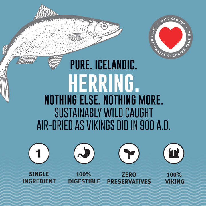 Icelandic Cat Herring Whole Fish 1.5oz.