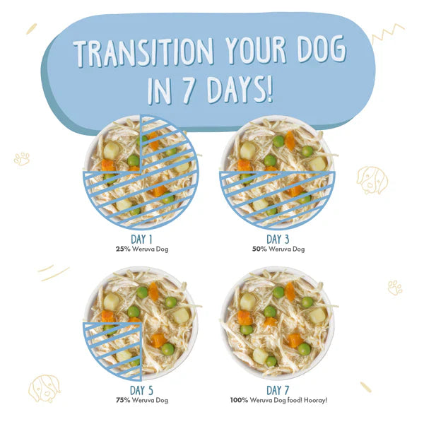 Weruva Dog Chicken Soup 5.5oz. (Case of 24)