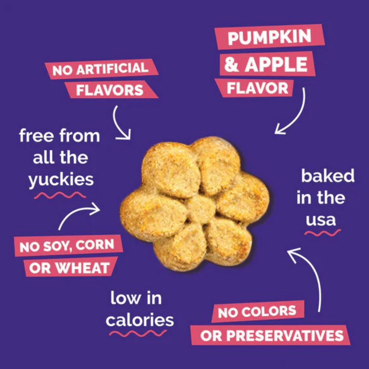 Fruitables Crunchy Baked Dog Treats Pumpkin Apple 1ea/7 oz