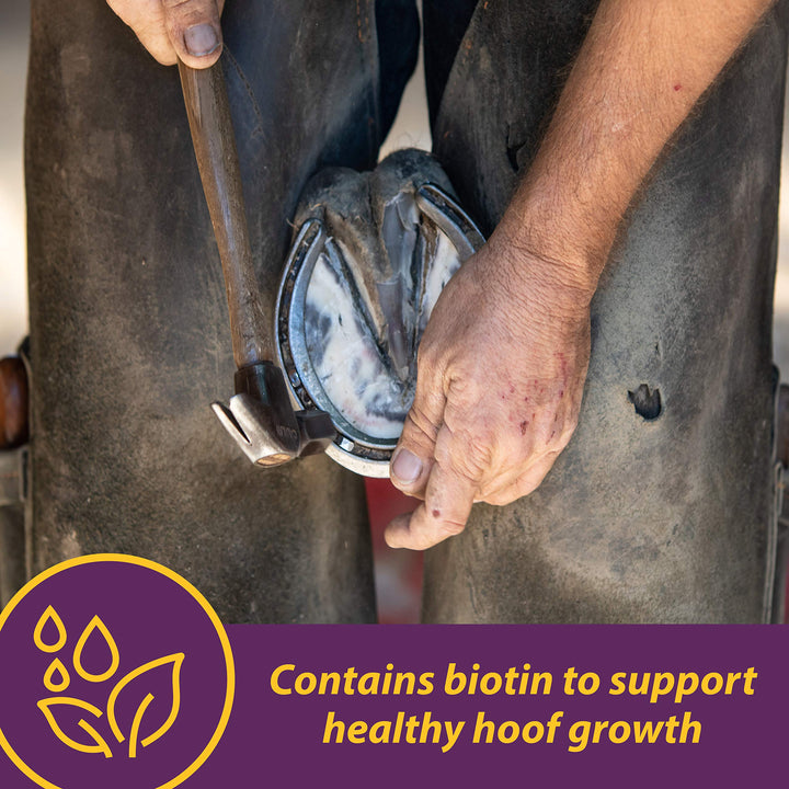 Horse Health Vita Biotin Crumbles Horse Hoof Supplement, 3 lbs