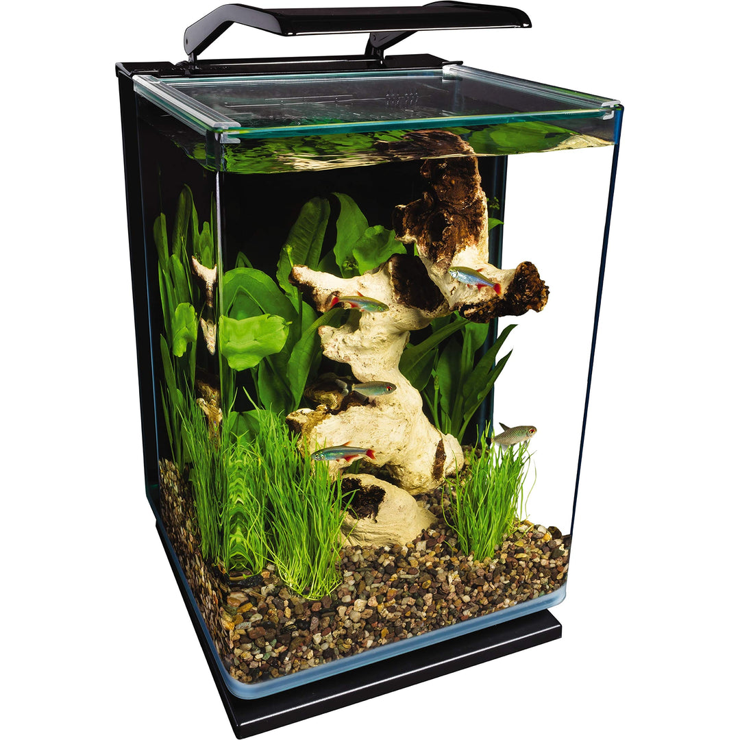 Marineland Portrait 5 Gallon Fish Tank Kit