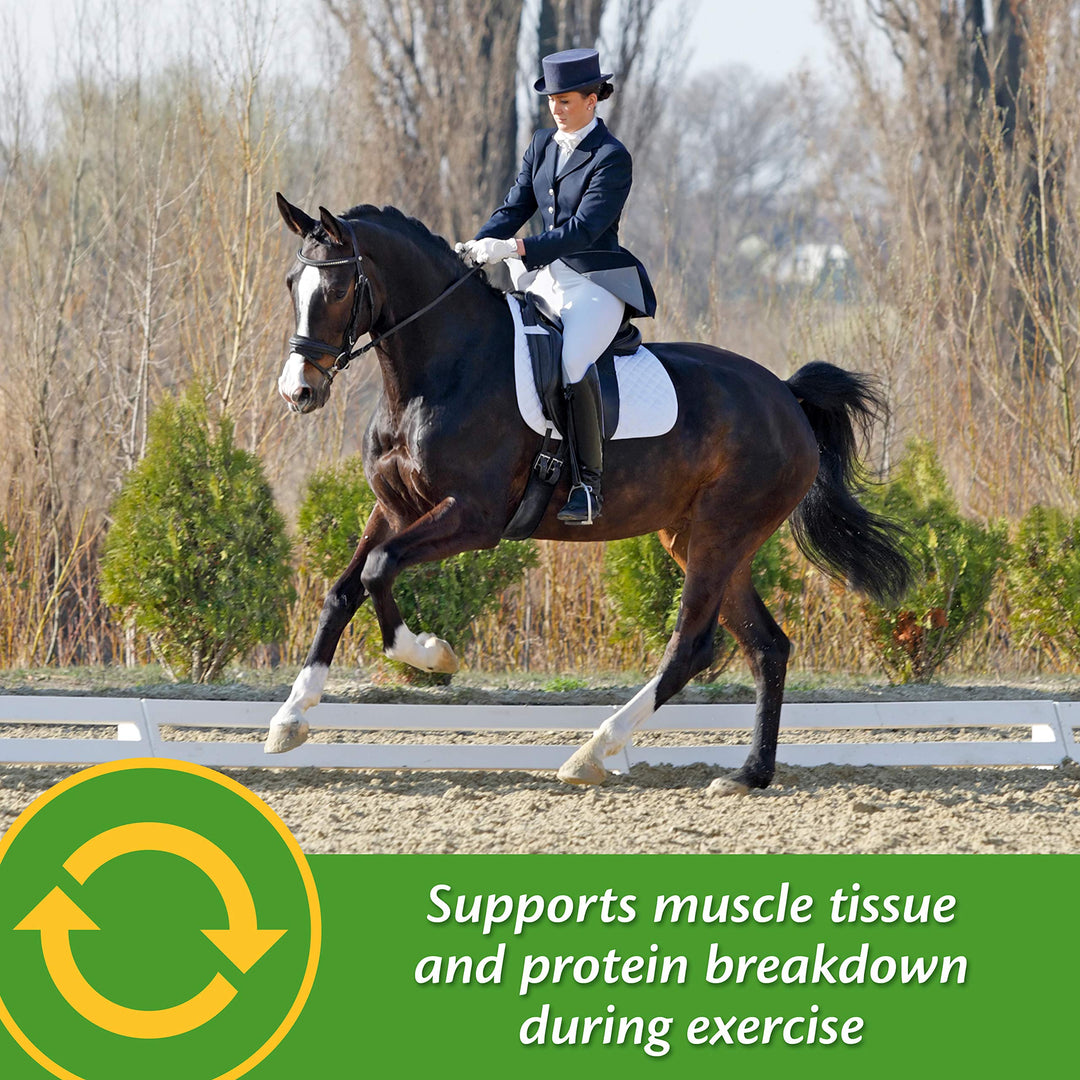 Farnam Vita Plus Balanced Multi-Vitamin &amp; Mineral Horse Supplement, Vitamin Supplements, Provides Balanced Nutrition to Support Overall Health and Performance, 3.75 Pounds, 30 Day Supply