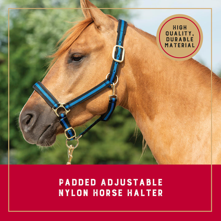 Weaver Equine Nylon Horse Halter, Average Horse, Padded &amp; Adjustable, 1 in