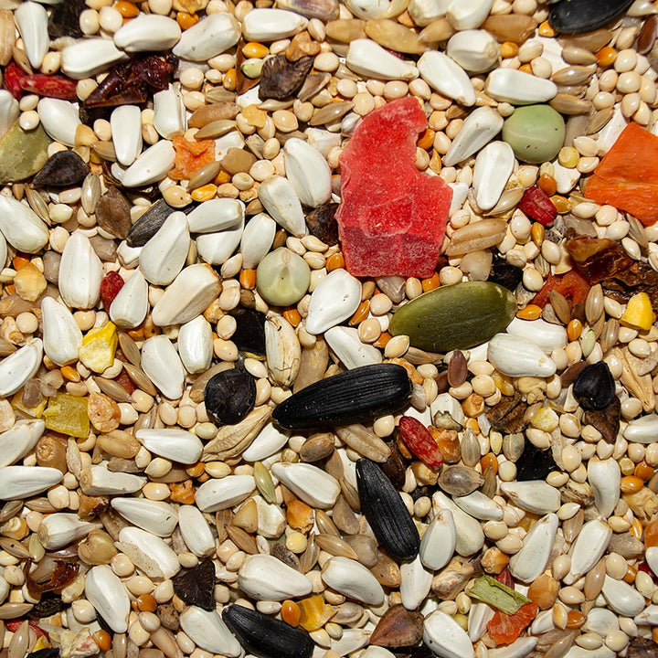 Volkman Avian Science Lovebird &amp; Conure Bird Seed 4 Lb
