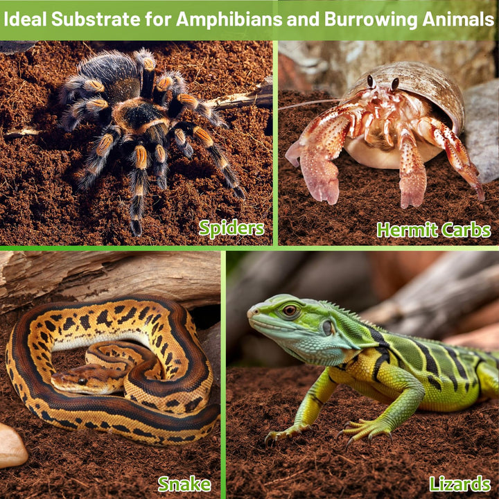 Riare 1 Pack Natural Coconut Fiber Substrate, Coco Coir Reptile Bedding