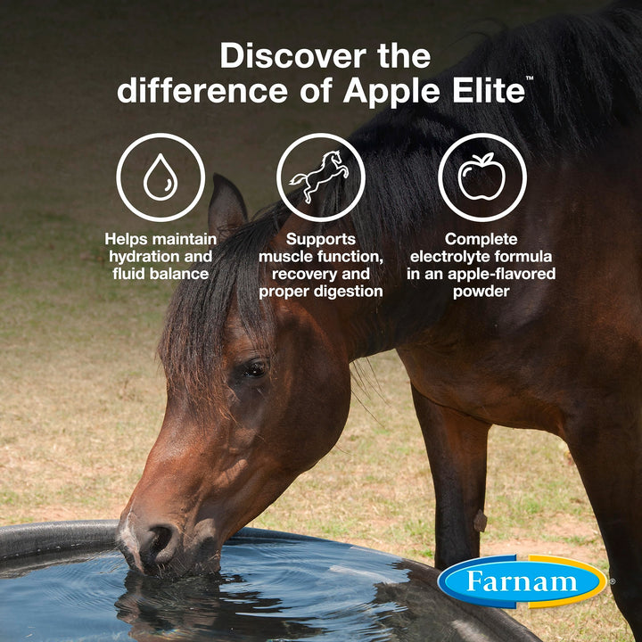 Farnam Apple Elite Horse Electrolyte Powder, Replaces Minerals Lost in Sweat During Exercise, Extreme Weather &amp; Stressful Conditions, 5 lb., 40 Day Supply (Pack of 2)