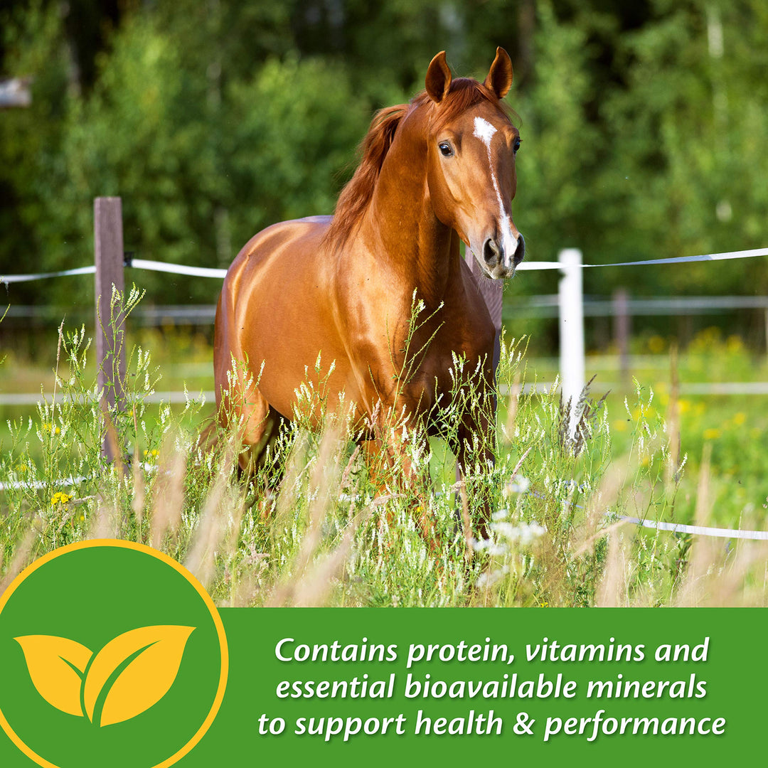 Farnam Vita Plus Balanced Multi-Vitamin &amp; Mineral Horse Supplement, Vitamin Supplements, Provides Balanced Nutrition to Support Overall Health and Performance, 3.75 Pounds, 30 Day Supply