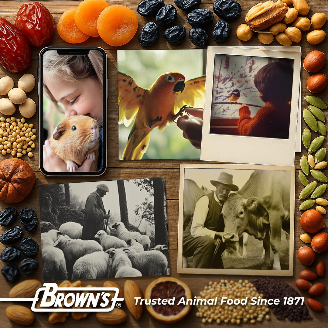 Brown&