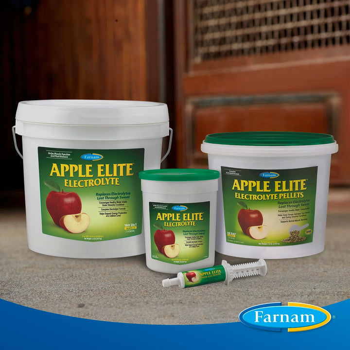 Farnam Apple Elite Horse Electrolyte Powder, Replaces Minerals Lost in Sweat During Exercise, Extreme Weather &amp; Stressful Conditions, 5 lb., 40 Day Supply (Pack of 2)