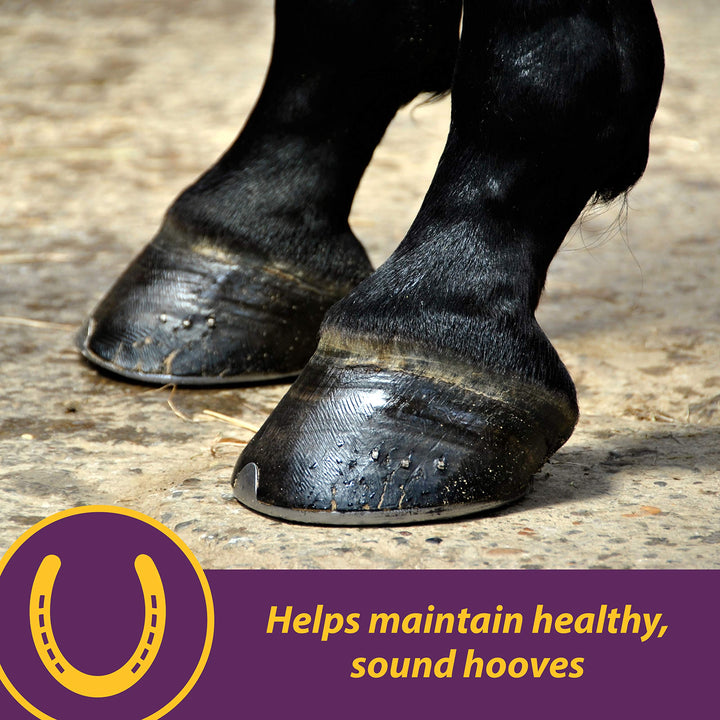 Horse Health Vita Biotin Crumbles Horse Hoof Supplement, 3 lbs