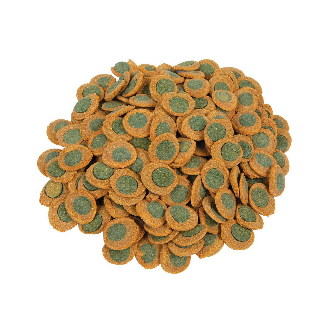 Tetra PRO PlecoWafers, Nutritionally Balanced Vegetarian Fish Food for Bottom Feeders, Concentrated Algae Center5.29 Ounces (Pack of 2)