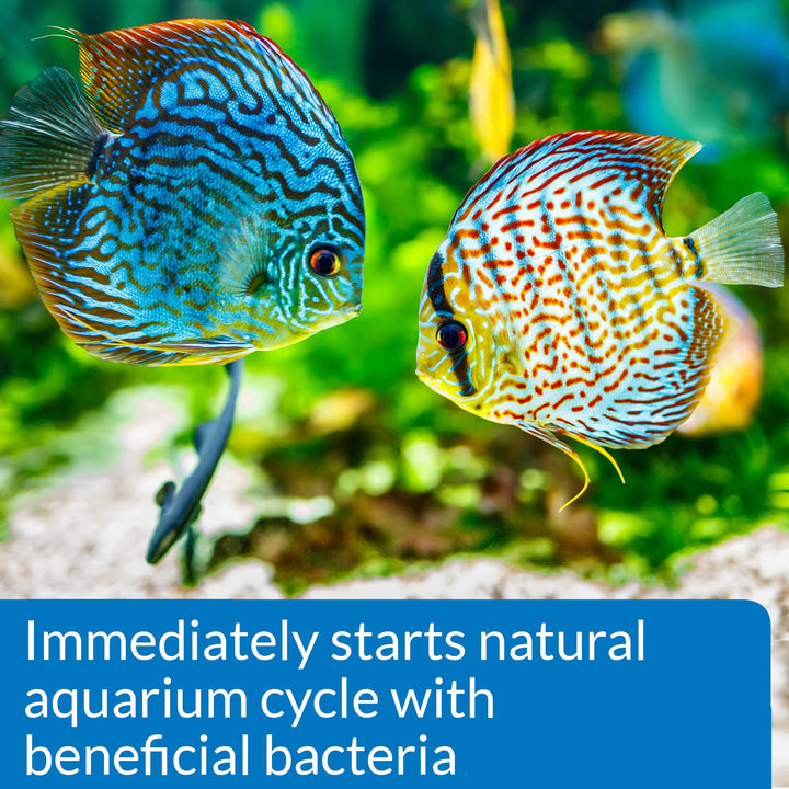 API Quick Start Freshwater &amp; Saltwater Aquarium Nitrifying Bacteria (4 oz)