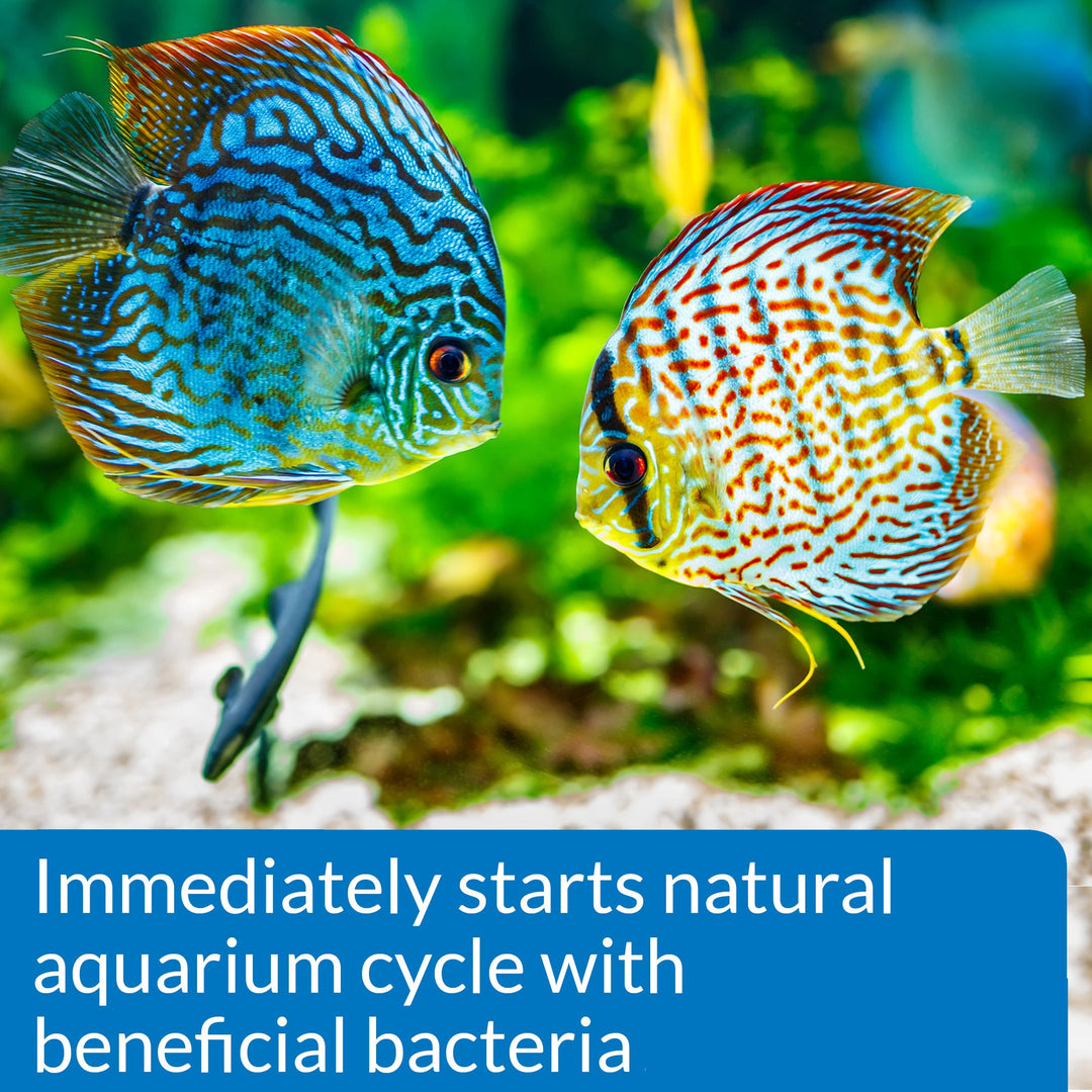 API Quick Start Freshwater &amp; Saltwater Aquarium Nitrifying Bacteria (8 oz)