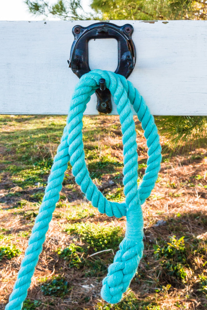 Intrepid International Horse Tack - Heavy Duty Cotton Rope Lead Ropes for Horses, with Durable Brass Trigger Snap, Attaches to Halter or Harness, Soft and Comfortable Grip - Royal Blue, 10 Feet