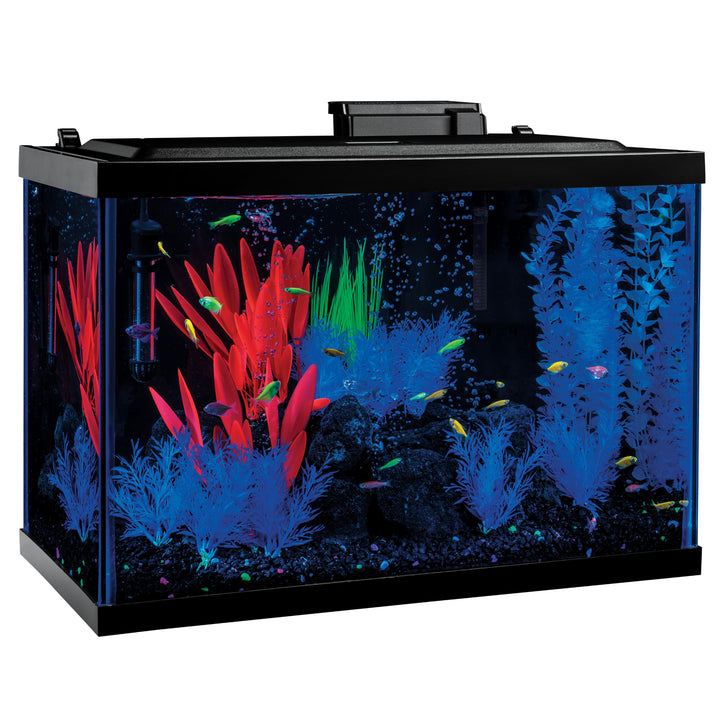 Tetra ColorFusion 20 Gallon Complete Aquarium Kit